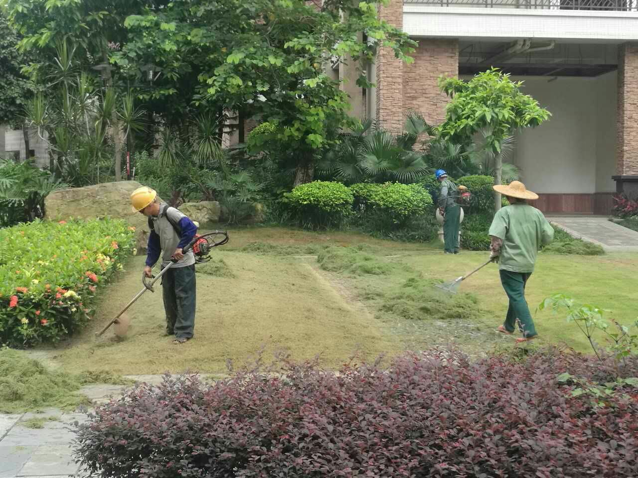 想問(wèn)一下荊軻山回遷房本什么時(shí)候可以辦理