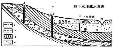 一只兩個(gè)手掌大的甲魚在冰下淺水里